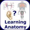 Learning Anatomy Quiz +