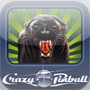 Crazy Pinball Jungle