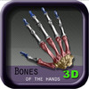 Bones of the Hands