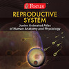 Reproductive System (Human Reproduction) - Jr. Animated Atlas Series