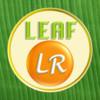 Leaf LR