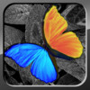 PhotoWizard-Photo Editor