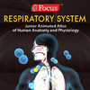 Respiratory System - Jr. Animated Atlas series