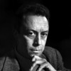 Camus Quotes