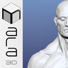 MARA3D - David Giraud Male Anatomy