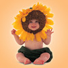 Marvels: Anne Geddes