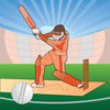 Cricket Facts 2011 Pro