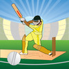 Cricket Facts 2011