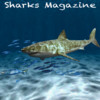 Sharks Magazine