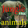 Jungle animals Free