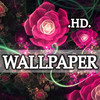 Amazing Wallpapers Collection HD