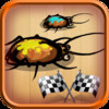 Bet for Bug Racing