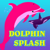 Dolphin Splash