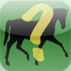 Horse Quiz