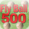 Fly Ball 500