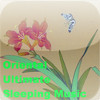 Oriental Ultimate Sleeping Music