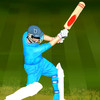 Cricket Lite (MultiPlayer Included)