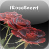 iRose Scent