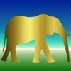 Elephant Super Memory Challenge: Recall This!