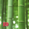 123Bamboo HD