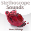 Stethoscope Sounds