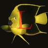 Reef Fish Guides Lite