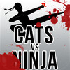 Ninja Vs Cats