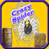 "Crazy Spider"