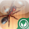 Bubble Bug Blaster Zen: Tap n Smash Bugs and Ants - Natural, relaxing and healthy entertainment