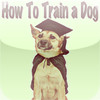 How to Train a Dog: Teach Your Dog Obedience Training!