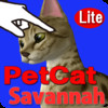 Savannah Petting cat 3D REAL Lite