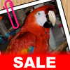 Pasteboard: SALE! Saves clipboard