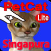 Singapura Petting cat 3D REAL Lite