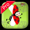 Flappy Ladybug