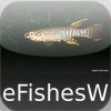 Fishes of the World - eFishesW