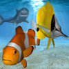 my Fish 3D Virtual Aquarium