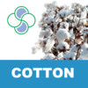 Cotton Stoller