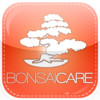 Bonsai Care