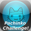 Pachinko Challenge