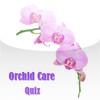 Orchid Care Quiz