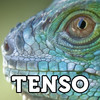 Free Tenso Generator