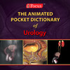 Urology: Animated Pocket Dictionary series (Focus Apps)