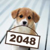 2048++ Puppies version