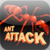 Ant Attack