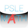 PSLE Math Series 2013