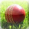 Cricket Hot News