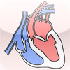 CardiacDiseaseE