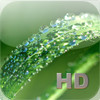 Medicinal Plants HD