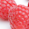 iFramboise - 1001 recettes pour les gourmands de framboise!