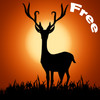 REAL WHITETAIL DEER HUNTING & Duck Hunt & Wolf  Hunting in Usa Winter Storm Free Games For Shooter.